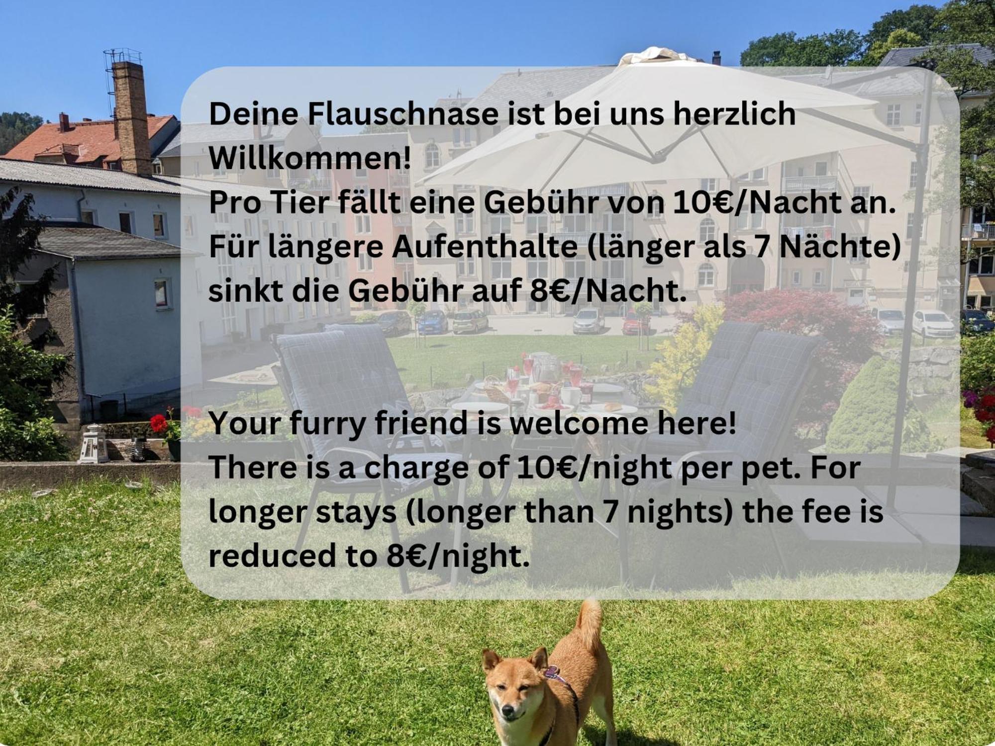 Ut - Urlaubsmagie - Urlaubstraum Mit Whirlpool, Pool & Sauna Sebnitz Ngoại thất bức ảnh